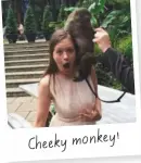  ??  ?? Cheeky monkey!