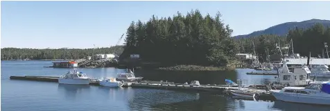  ?? MEGAN HUMCHITT FILES ?? There are concerns about the number of yachts anchoring off shore and at Shearwater Marina. A lot of tourist destinatio­ns have hung out signs saying: please don’t come.