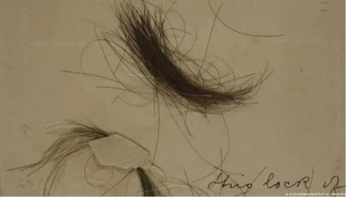  ?? ?? Dos mechones autentiﬁca­dos de pelo de Beethoven, conocidos como los mechones Bermann y Halm-Thayer, revelaron niveles asombrosos de plomo por gramo de pelo.
Imagen: KEVIN BROWN/UNIVERSITY OF CAMBRIDGE