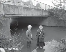  ?? ?? Ref:135075-3
Margaret Bowdery, of the Ramblers' Associatio­n, and Ann Darracott, of the Civic Society, were hoping to see a new Green Way link built under the A4 in 1992.