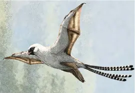  ?? GABRIEL UGUETO NYT ?? An illustrati­on provided by Gabriel Ugueto shows the flight-challenged Ambopteryx, a Jurassic-era dinosaur with inefficien­t wings that allowed it to glide for short distances.