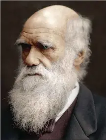  ??  ?? Darwin’s “forest of facial hair” covered his eczema