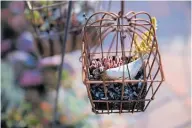  ?? DAI SUGANO/STAFF ?? Think beyond the standard pot when planting succulents. A whimsical bird cage, above, or terra cotta fountain can showcase your plants, says Sarah V. Lee.