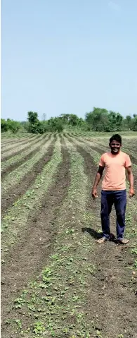  ??  ?? Phool Singh Jadhav of Tekadi village in Yavatmal district, Maharashtr­a, has a five hectare cotton farm, which is full of weeds. He plans to remove weeds manually