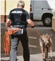  ?? Foto: W. Widemann ?? Bei der Spurensuch­e setzte die Polizei im August 2016 in Donauwörth auch Spür hunde ein.