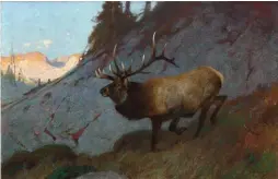  ??  ?? Carl Rungius (1869-1959), Wyoming Elk, ca. 1910. Oil on canvas, 30 x 46¼ in. Estimate: $150/250,000