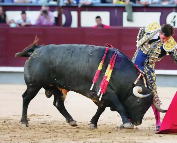  ?? ?? El Juli, en un extraordin­ario natural al quinto toro, ayer en Las Ventas