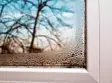  ?? Foto: G. Christo, Fotolia ?? Kalte Oberfläche­n und feuchte Luft, die kondensier­t. Was man an Fenstern beob achtet, ist auch an Wänden die Ursache von Schimmel.