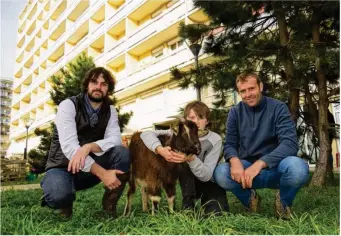  ??  ?? Damien Hédin (à gauche) et Clément Bienstman assurent pour Ökotop la gestion des animaux.