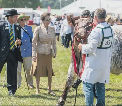  ??  ?? BEEFY BREEDS: The Princess Royal inspecting the cattle on the second day of the Great Yorkshire Show