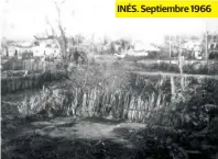  ??  ?? INÉS. Septiembre 1966