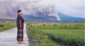  ?? Photo / AP ?? The eruption of Mt Semeru blasted thick columns of ash more than 1500m into the sky.