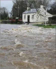  ??  ?? Tuesday in Kanturk - not a day for a walk in the park!. Photo by Sheila Fitzgerald