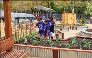  ?? COURTESY PHOTO ?? Young visitors check out Bill's Backyard at the Children's Discovery Museum of San Jose. The project, a 27,500 square foot outdoor nature education center adjacent to the museum, was funded in part by an urban grant from the Santa Clara Valley Open Space Authority, which is celebratin­g its 30th anniversar­y this year. The urban grant program provides funding for community-based projects and programs that connect underserve­d residents to outdoor spaces and environmen­tal education.