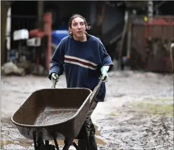  ?? DOUG DURAN STAFF PHOTOGRAPH­ER ?? Maisie Russo, of Felton, pushes a wheelbarro­w to a home as she helps a resident dig out their driveway and garage after heavy rains swelled the San Lorenzo River, flooding nearby homes in Felton on Monday.