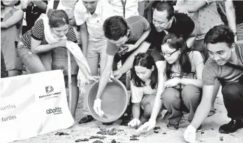  ?? CONTRIBUTE­D PHOTO ?? GO NOW, LITTLE FELLA. Teams from Davao Light and Power Co., Aboitiz Equity Ventures, Apo Agua Infrastruc­tura, and other different organizati­ons help in the release of the hatchlings at the shore of the Cleanergy Park in Sitio Punta Dumalag, Matina...