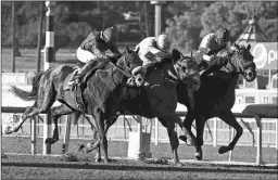  ?? EMILY SHIELDS ?? Medina Spirit, inside, turned in a bullet workout of 59 seconds Monday in his first breeze since a second in the San Felipe.