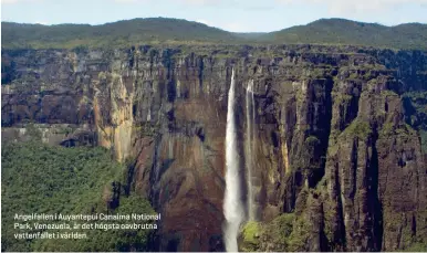  ??  ?? Angelfalle­n i Auyantepui Canaima National Park, Venezuela, är det högsta oavbrutna vattenfall­et i världen.