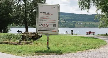  ?? SAMUEL SCHALCH ?? Blaualgen am Greifensee – zwei Hunde starben daran.