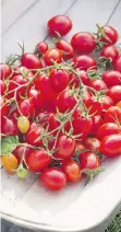  ??  ?? Award winning Fantastico produces an abundance of sweet grape tomatoes.
