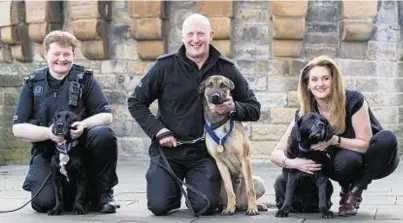  ??  ?? CANINE HEROES: Sweep with handler Constable Rhona Meikle, Boris stands in for Ozzy with handler Constable Brian Tennant and Sabby with owner Jacqueline Evans