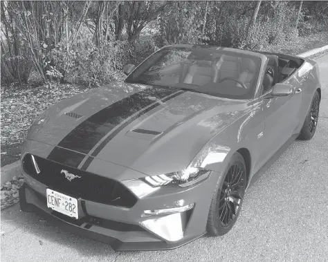  ?? PHOTOS: DALE EDWARD JOHNSON ?? An aggressive front makes the Mustang distinctiv­e.