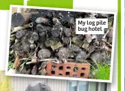  ??  ?? My log pile bug hotel