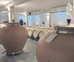  ?? ?? Barrel and Amphora Cellar at Chateau La Tilleraie ©Richard Esling Winewyse