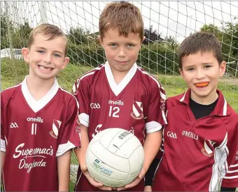  ??  ?? Bobby Malone, Tadhg Henry and Sean Dolan at the Oliver Plunketts Family Fun Day.
