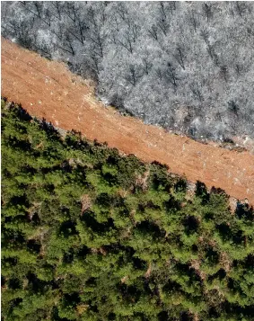  ?? ?? Å Les stigmates d’un feu de forêt dévastateu­r en Turquie au mois d’août 2021.