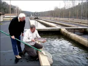  ?? Arkansas Democrat-gazette ?? Leon Alexander (left), president of the Friends of the Norfork National Fish Hatchery, helps hatchery manager Ken Boyles check on rainbow trout at the hatchery in 2005.