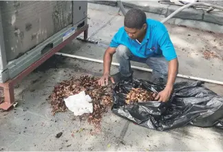  ?? FUENTE EXTERNA ?? Pagán explicó que la basura obstruyó el desplazami­ento de las aguas.