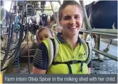  ??  ?? Farm intern Olivia Spicer in the milking shed with her child.