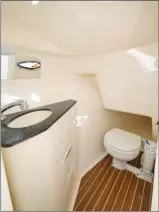  ??  ?? La console de bâbord accueille un cabinet de toilette avec WC marins et lavabo.