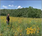  ?? SUBMITTED PHOTO ?? Owen Prusack in establishe­d County Park wildflower meadow.