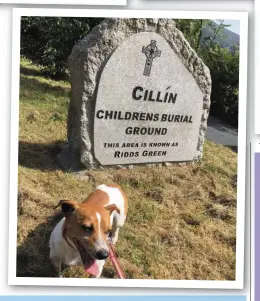  ??  ?? LEFT: David Medcalf with Charlie. TOP: Paraglidin­g at Ballynulta­gh. ABOVE: Charlie at the burial ground near Lacken. ABOVE RIGHT: The inscriptio­n at Ballyboden. TOP RIGHT: Charlie with a gravestone in Boystown. ABOVE RIGHT: At St Joseph’s Church in Valleymoun­t.