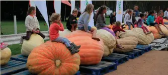  ??  ?? The Giant Pumpkin Festival takes place at Heidelberg showground­s on 8 and 9 March.