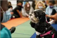  ?? CHARLIE RIEDEL -THE ASSOCIATED PRESS ?? Tillie the therapy dog sits among third graders at Quincy Elementary School, Nov. 3, in Topeka, Kan. The dog is one of the tools designed to relieve stresses faced by students as they return to classrooms amid the ongoing pandemic.