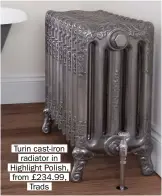  ??  ?? Turin cast-iron radiator in Highlight Polish, from £234.99, Trads