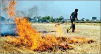  ?? PTI ?? A farmer burns stubble in a field following the harvest season, on the outskirts of Amritsar, on Thursday