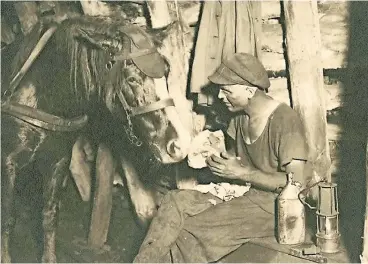  ??  ?? Die Ausstellun­g zeigt auch Fotografie­n aus dem Alltag der Bergleute. Dieses Bild mit dem Titel „Arbeitskam­eraden“stammt aus dem Jahr 1937.