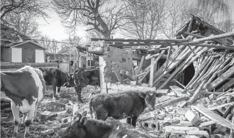  ?? IVOR PRICKETT/THE NEW YORK TIMES ?? A Russian missile damaged this farm last month near Kyiv. “My farm has turned to ruins,” said one farmer near Chernihiv.