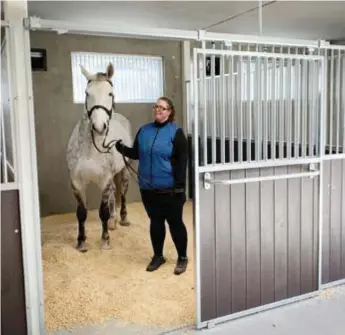  ?? FOTO: JESPER LUNDBERG ?? BOX. Micaela Swahn ledde in Zaragazzo i den nya, moderna stallboxen på Sättra gård.