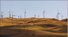  ?? ANDA CHU — STAFF ARCHIVES ?? The Altamont Pass region in eastern Alameda and Contra Costa counties is home to the nation’s oldest wind farms. Investing in renewable energy such as wind power is one of Joe Biden’s green priorities.