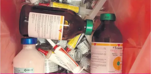  ??  ?? Les doses types permettent de comparer les antibiotiq­ues administré­s à un animal.