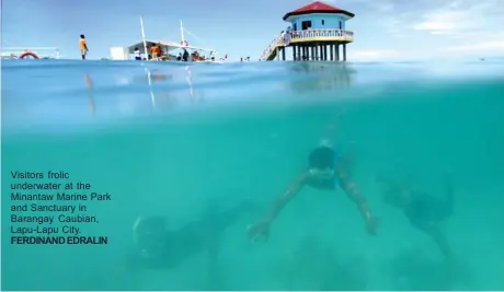  ?? FERDINAND EDRALIN ?? Visitors frolic underwater at the Minantaw Marine Park and Sanctuary in Barangay Caubian, Lapu-lapu City.