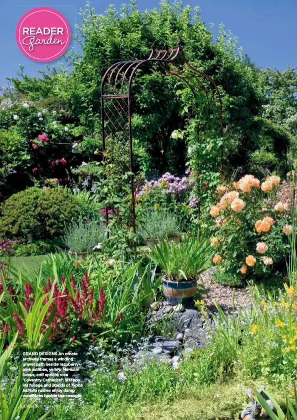  ??  ?? GRAND DESIGNS An ornate archway frames a winding gravel path beside raspberryp­ink astilbes, yellow Mimulus luteus, and apricot rose ‘Coventry Cathedral’. Strappy iris foliage and stands of
rushes enjoy damp conditions beside the cascade