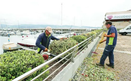  ?? EFE ?? Operarios trabajan en labores de jardinería en el Club Náutico de Sanxenso (Pontevedra) al que acudirá Don Juan Carlos el fin de semana