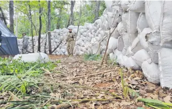  ?? ?? Agentes de la Senad inspeccion­an las bolsas de marihuana picada halladas en la colonia Estrella.