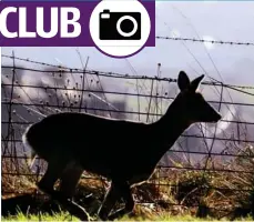  ??  ?? Mark Farrell took this image near Glenboig